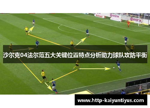 沙尔克04法尔范五大关键位置特点分析助力球队攻防平衡 沙尔克04法尔范五大关键位置特点分析助力球队攻防平衡