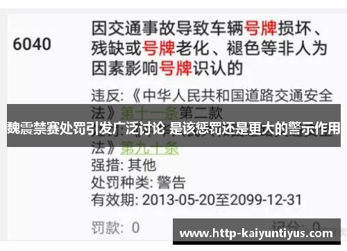 魏震禁赛处罚引发广泛讨论 是该惩罚还是更大的警示作用